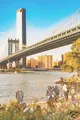 Scribble Picture 37